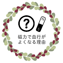 血行促進と自律神経を整える磁気健康センター森川