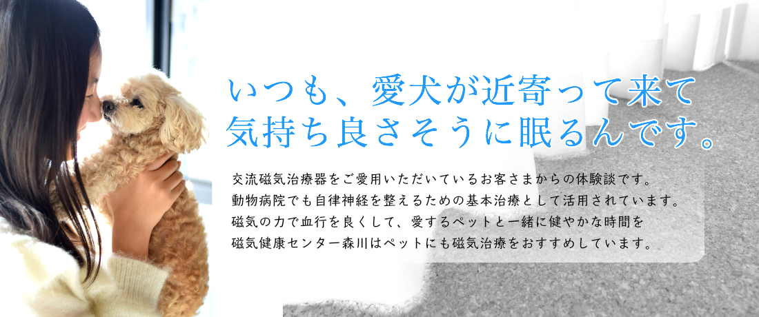 磁気の力で血行の促進と自律神経を整える